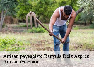 Artisan paysagiste  banyuls-dels-aspres-66300 Artisan Guevara