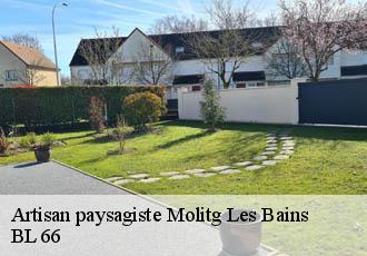 Artisan paysagiste molitg-les-bains-66500 BL 66