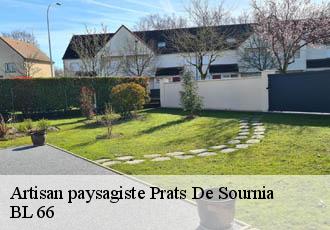 Artisan paysagiste prats-de-sournia-66730 BL 66