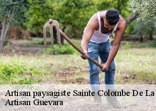 Artisan paysagiste  sainte-colombe-de-la-commanderie-66300 Artisan Guevara