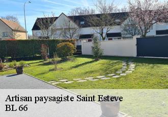 Artisan paysagiste  saint-esteve-66240 Artisan Guevara