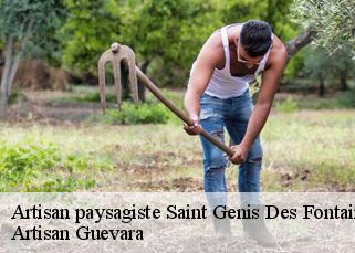 Artisan paysagiste  saint-genis-des-fontaines-66740 Artisan Guevara