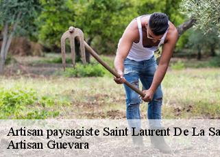 Artisan paysagiste  saint-laurent-de-la-salanque-66250 Artisan Guevara