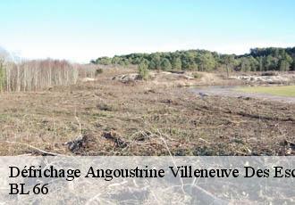 Défrichage angoustrine-villeneuve-des-escaldes-66760 BL 66