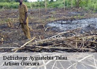 Défrichage  ayguatebia-talau-66360 Artisan Guevara