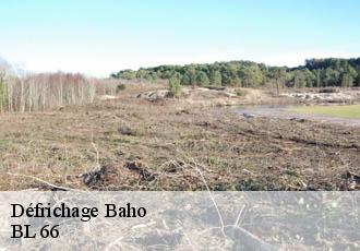 Défrichage  baho-66540 BL 66 