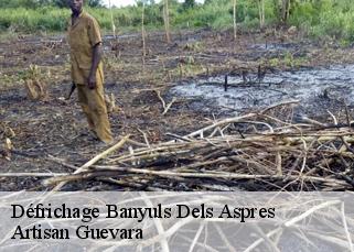 Défrichage  banyuls-dels-aspres-66300 Artisan Guevara