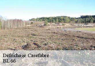Défrichage  casefabre-66130 BL 66 