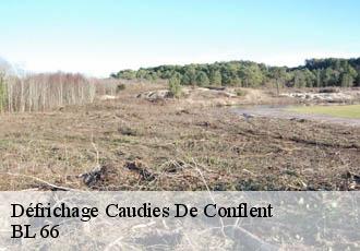 Défrichage caudies-de-conflent-66360 BL 66