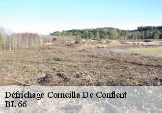 Défrichage  corneilla-de-conflent-66820 BL 66 