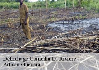 Défrichage  corneilla-la-riviere-66550 Artisan Guevara