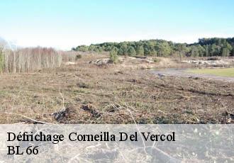 Défrichage corneilla-del-vercol-66200 BL 66