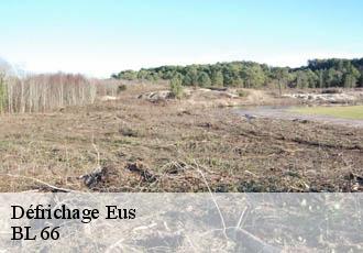Défrichage eus-66500 BL 66