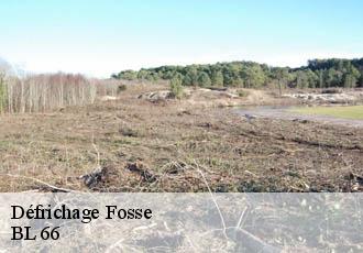 Défrichage fosse-66220 BL 66