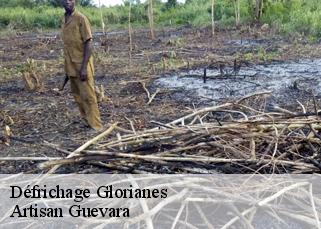 Défrichage  glorianes-66320 Artisan Guevara