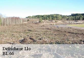 Défrichage llo-66800 BL 66