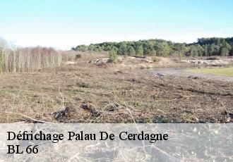 Défrichage palau-de-cerdagne-66340 BL 66