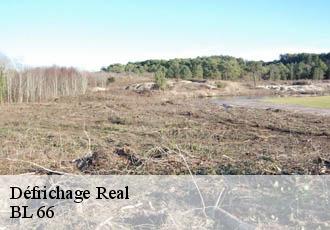 Défrichage real-66210 BL 66