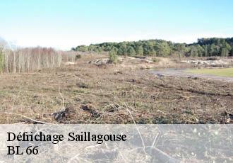 Défrichage saillagouse-66800 BL 66