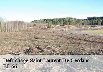 Défrichage saint-laurent-de-cerdans-66260 BL 66