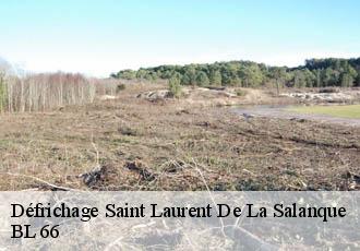 Défrichage saint-laurent-de-la-salanque-66250 BL 66
