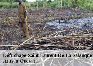 Défrichage  saint-laurent-de-la-salanque-66250 Artisan Guevara