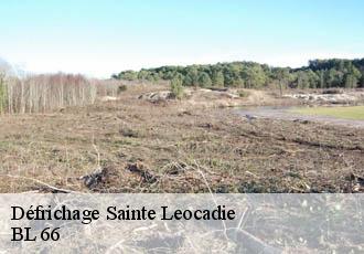 Défrichage sainte-leocadie-66800 BL 66