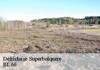 Défrichage superbolquere-66210 BL 66