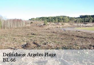 Défrichage argeles-plage-66700 BL 66
