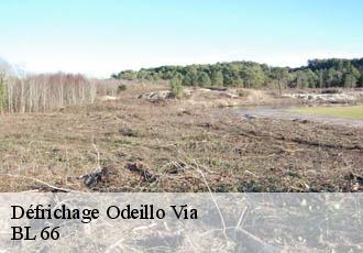 Défrichage odeillo-via-66120 BL 66
